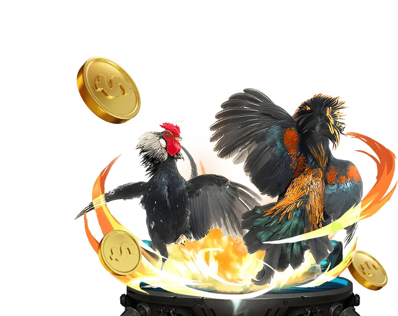 Chính sách KYC/AML